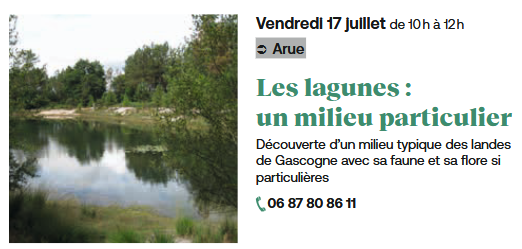 Capture d'écran 2026-07-03 110224.png